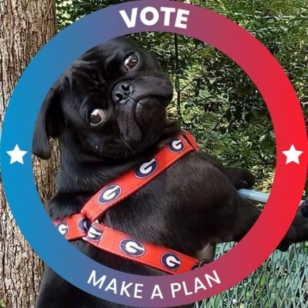 Meet your Posher, Clara